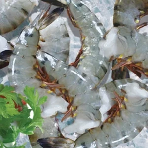 Tôm sú  lặt đầu còn vỏ